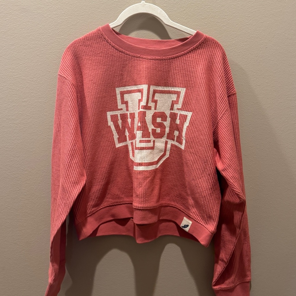 WashU Sweatshirt | Medium